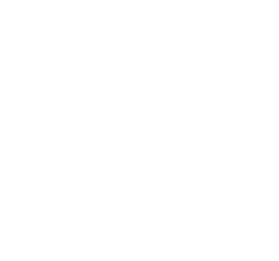 Bigsize Ship